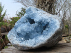 Natural Blue Celestite Geode Specimen  x 1 From Sakoany, Madagascar - Toprock Gemstones and Minerals 
