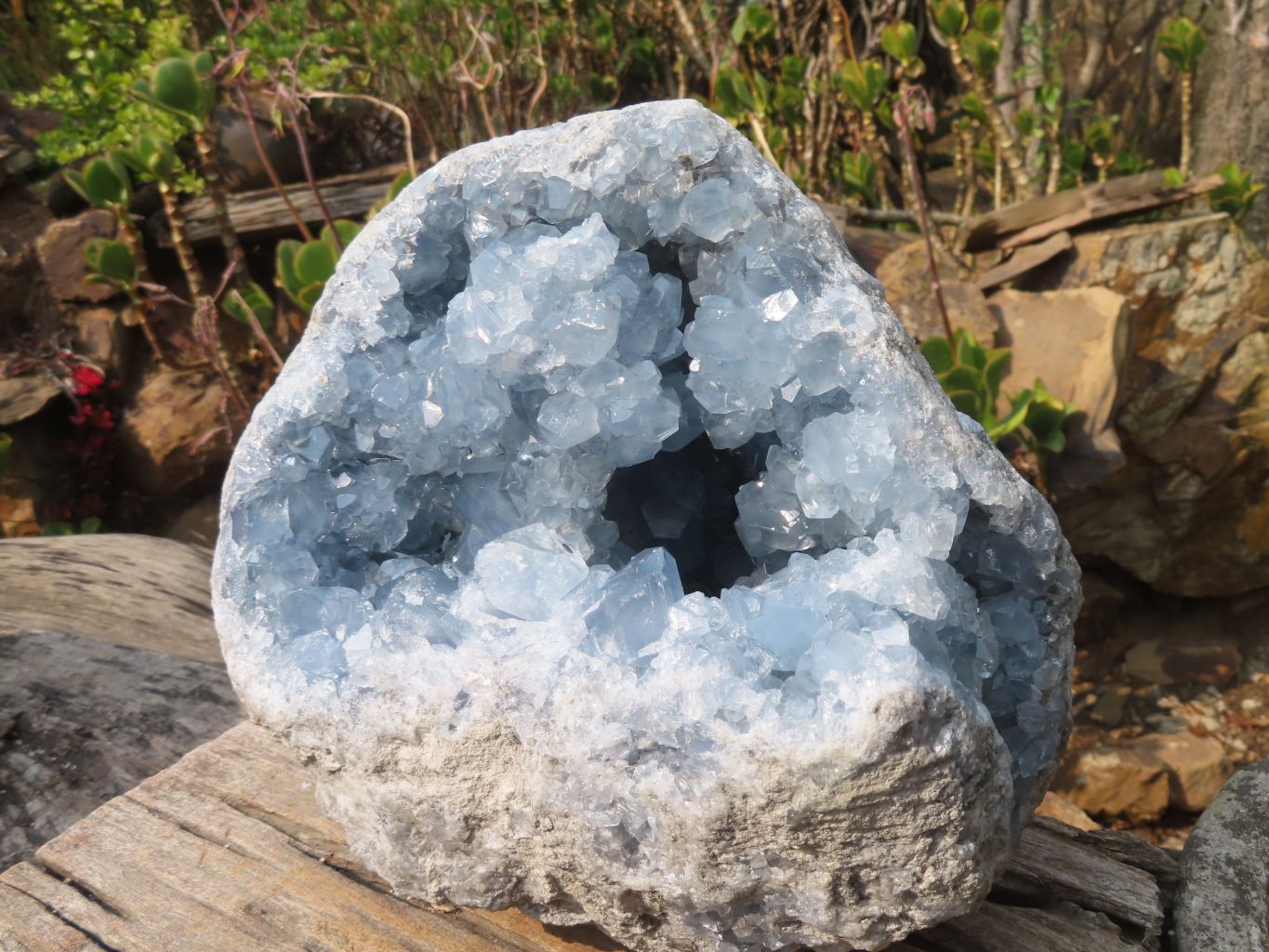 Natural Blue Celestite Geode Specimen  x 1 From Sakoany, Madagascar - Toprock Gemstones and Minerals 