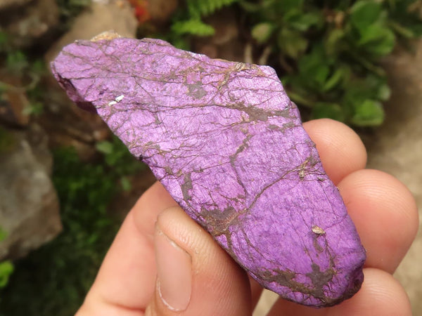 Natural Selected Rough Purpurite Specimens  x 24 From Namibia - TopRock