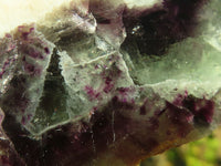 Polished  One Side Polished Watermelon Fluorite Pieces  x 12 From Uis, Namibia - Toprock Gemstones and Minerals 