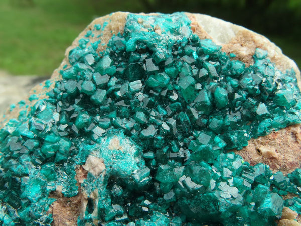 Natural Classic Large Dioptase Specimen On Dolomite Matrix Gorgeous Shiny Emerald Green Crystals x 1 From Tantara, Congo - TopRock
