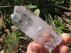 Polished Semi Optic Clear Quartz Crystals  x 6 From Madagascar - TopRock