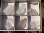 Polished Clear Quartz Crystal Points  x 6 From Madagascar - Toprock Gemstones and Minerals 
