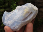 Natural Etched Blue Chalcedony Specimens  x 12 From Malawi - TopRock