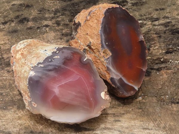 Polished Red River Agate Nodules  x 6 From Sashe River, Zimbabwe - TopRock