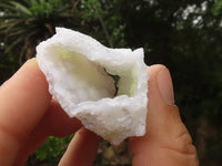 Natural Etched Blue Chalcedony Specimens  x 12 From Malawi - TopRock