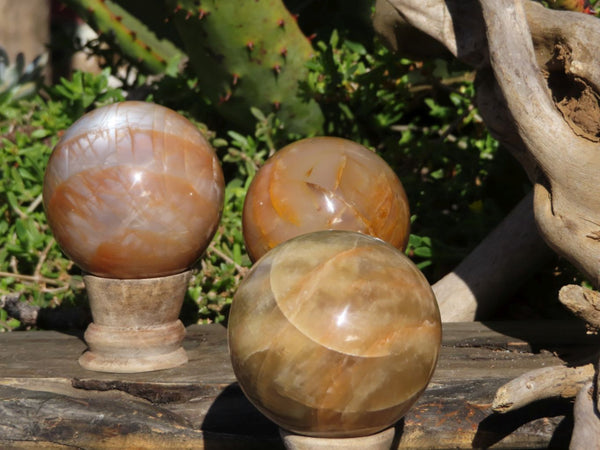 Polished Flashy Peach Moonstone Feldspar Spheres x 4 From Madagascar - TopRock