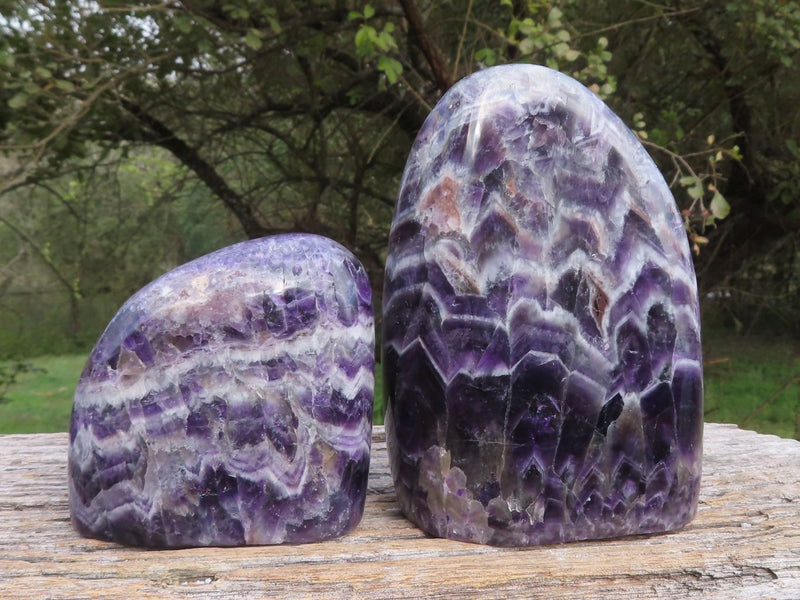 Polished World Class Purple Chevron Amethyst Standing Free Forms x