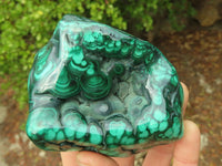 Polished Malachite Free Forms x 3 From Kolwezi, Congo - Toprock Gemstones and Minerals 