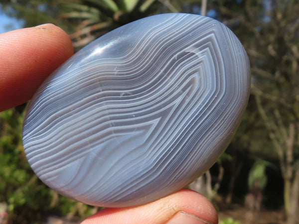 Polished Highly Selected Banded River Agate Palm Stones  x 20 From Madagascar