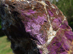 Natural Extra Large Purpurite Specimen x 1 From Erongo, Namibia - TopRock