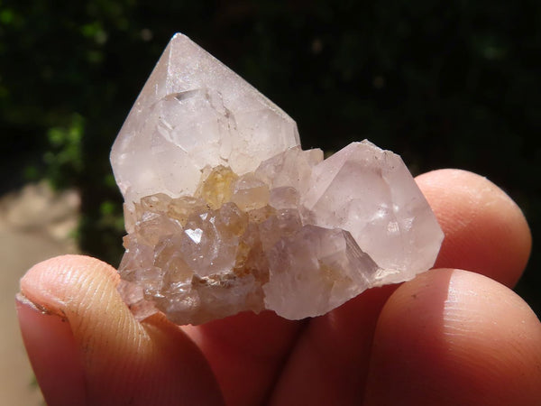 Natural Small Mixed Spirit Quartz Clusters  x 63 From Boekenhouthoek, South Africa - TopRock