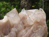 Natural White Phantom Smokey Quartz Clusters  x 4 From Luena, Congo - Toprock Gemstones and Minerals 
