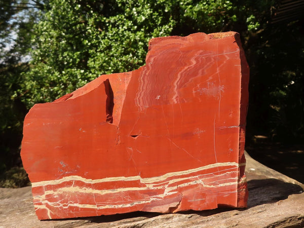 Natural Large Red Jasper Slabs  x 2 From Northern Cape, South Africa - TopRock