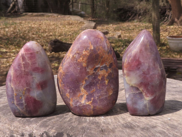 Polished Rare Violet 