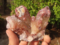 Natural Red Hematoid Quartz Specimens x 5 From Karoi, Zimbabwe - Toprock Gemstones and Minerals 