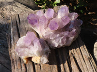Natural Jacaranda Amethyst Clusters x 2 From Mumbwe, Zambia - Toprock Gemstones and Minerals 