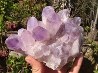 Natural Jacaranda Amethyst Clusters x 2 From Mumbwe, Zambia - Toprock Gemstones and Minerals 