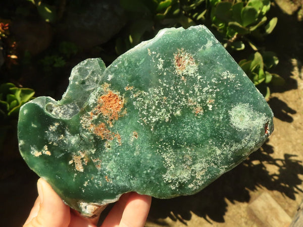 Polished Green Mtorolite / Emerald Chrome Chrysoprase Plates  x 3 From Zimbabwe - TopRock