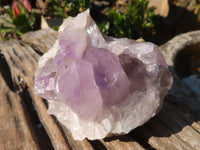 Natural Jacaranda Amethyst Clusters x 2 From Mumbwe, Zambia - Toprock Gemstones and Minerals 