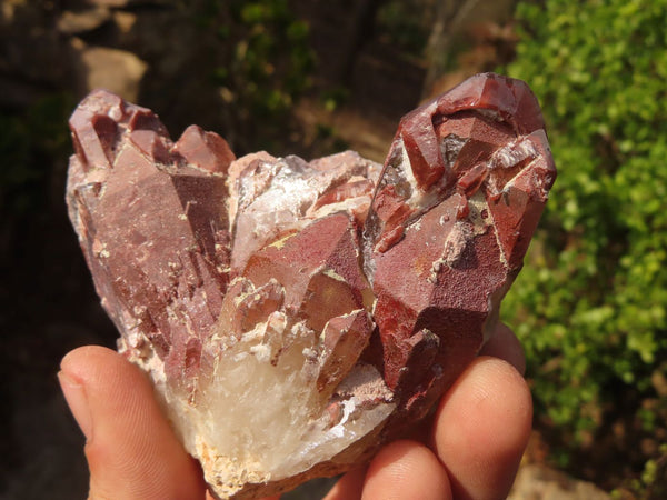 Natural Red Hematoid Quartz Specimens x 5 From Karoi, Zimbabwe - Toprock Gemstones and Minerals 