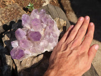 Natural Jacaranda Amethyst Clusters x 2 From Mumbwe, Zambia - Toprock Gemstones and Minerals 