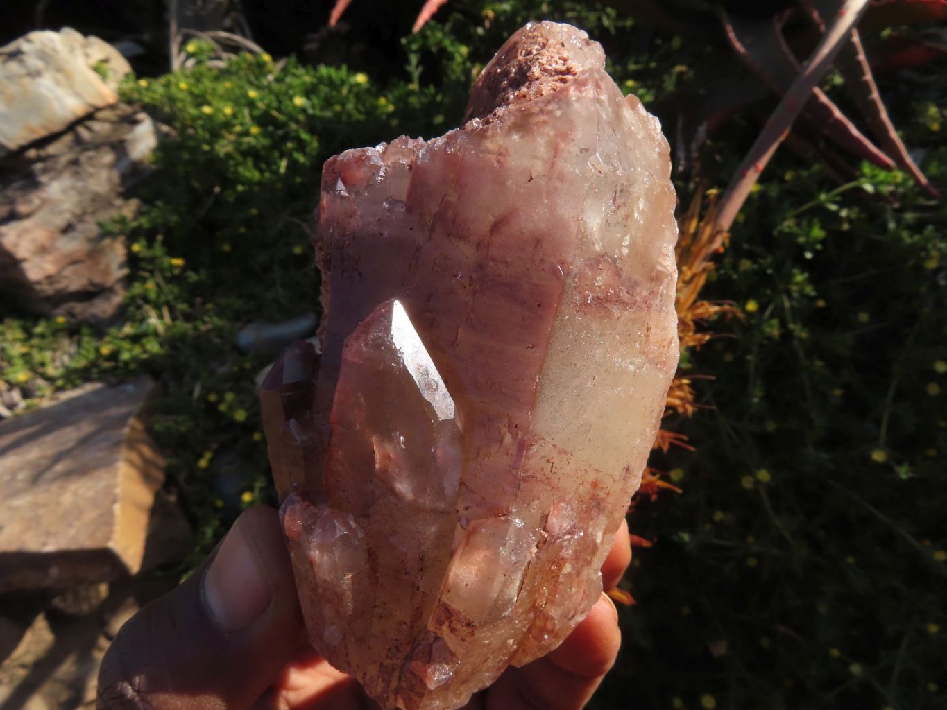 Natural Red Hematite Phantom Quartz Clusters Formation x 3 From Karoi, Zimbabwe - TopRock