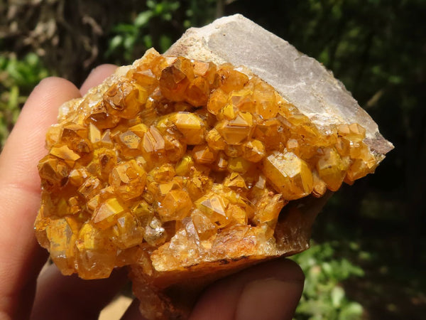 Natural Golden Limonite Quartz Clusters  x 12 From Zambia - TopRock