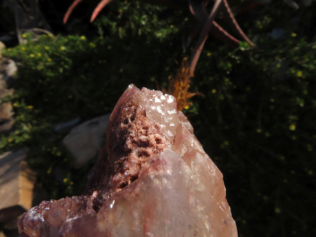 Natural Red Hematite Phantom Quartz Clusters Formation x 3 From Karoi, Zimbabwe - TopRock