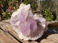 Natural Jacaranda Amethyst Clusters x 2 From Mumbwe, Zambia - Toprock Gemstones and Minerals 