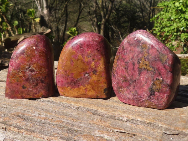 Polished Pink Rhodonite Free Forms  x 6 From Zimbabwe - Toprock Gemstones and Minerals 