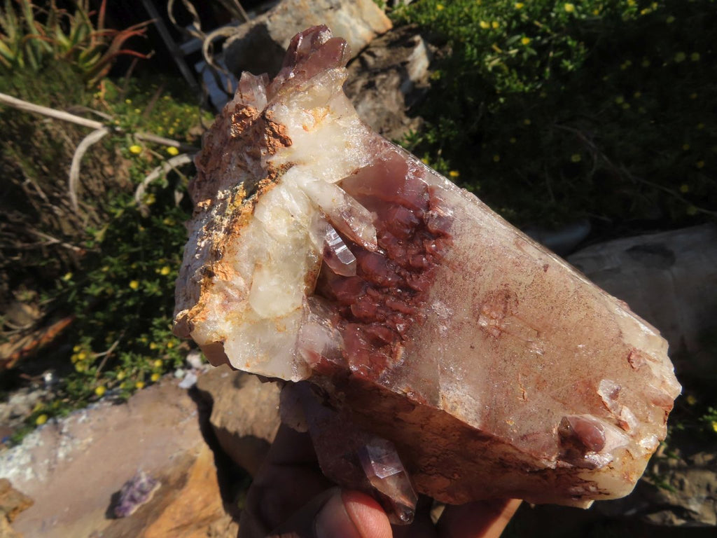 Natural Red Hematite Phantom Quartz Clusters Formation x 3 From Karoi, Zimbabwe - TopRock