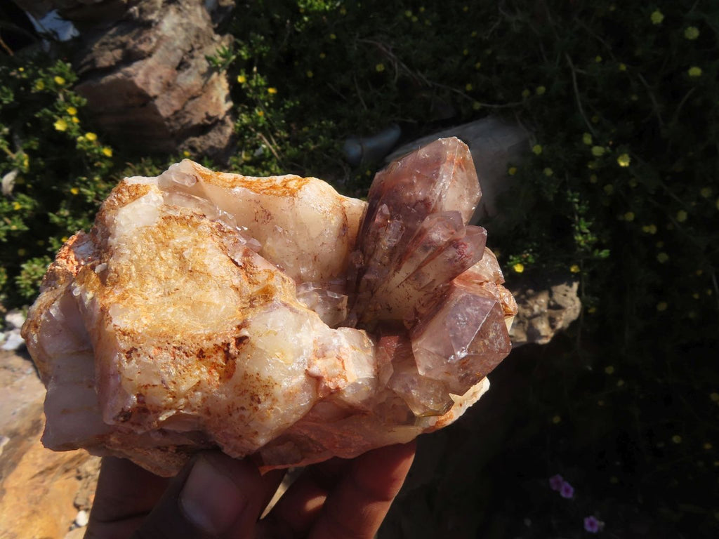 Natural Red Hematite Phantom Quartz Clusters Formation x 3 From Karoi, Zimbabwe - TopRock