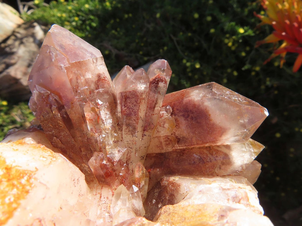 Natural Red Hematite Phantom Quartz Clusters Formation x 3 From Karoi, Zimbabwe - TopRock