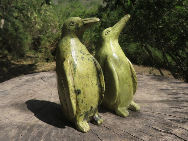 Polished Leopard Stone Penguin Carvings  x 2 From Zimbabwe - TopRock