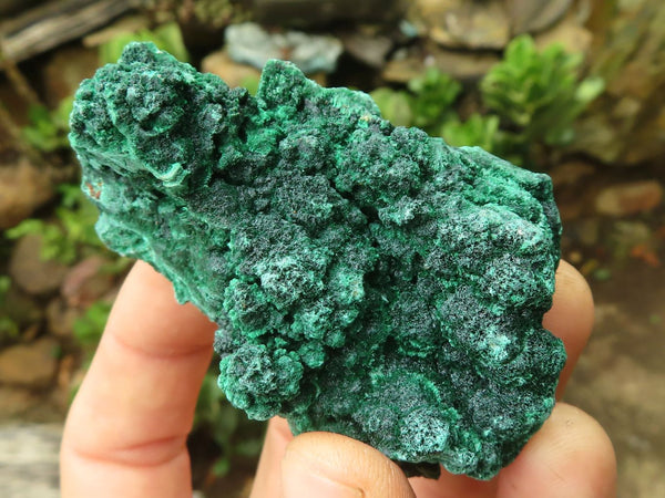 Natural Chatoyant Silky Malachite Specimens  x 12 From Congo - Toprock Gemstones and Minerals 