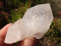 Natural Large Quartz Crystal Specimens x 12 From Mpika, Zambia - Toprock Gemstones and Minerals 