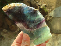 Polished Watermelon Fluorite Slices  x 3 From Uis, Namibia