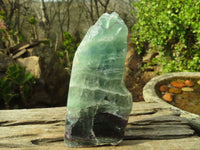 Polished Watermelon Fluorite Slices  x 3 From Uis, Namibia