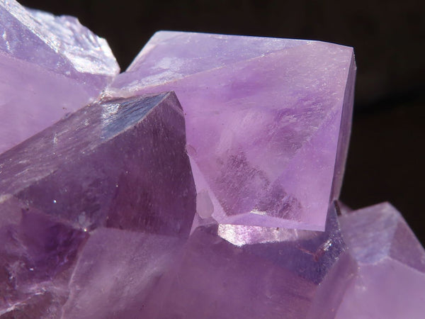 Natural Jacaranda Amethyst Cluster x 1 From Zambia - Toprock Gemstones and Minerals 
