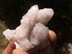 Natural Mixed Selection Of Small Spirit Quartz Crystals  x 70 From Boekenhouthoek, South Africa - TopRock
