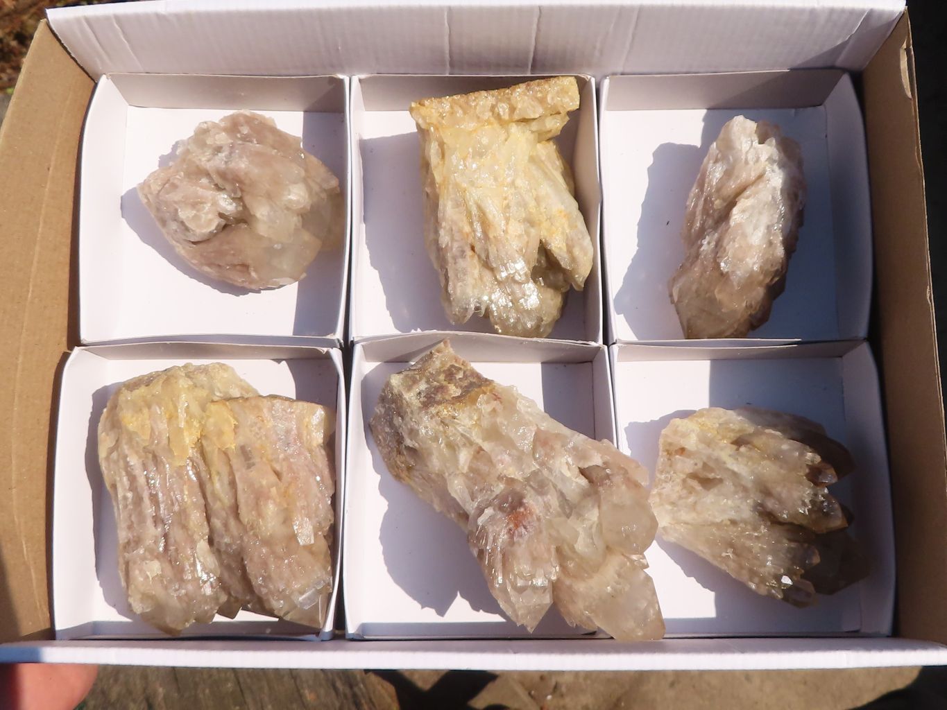 Natural Cascading Smokey Quartz Clusters x 6 From Luena, Congo - Toprock Gemstones and Minerals 