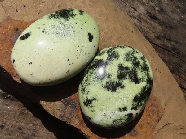 Polished Large Leopard Stone Gallets  x 6 From Zimbabwe - TopRock