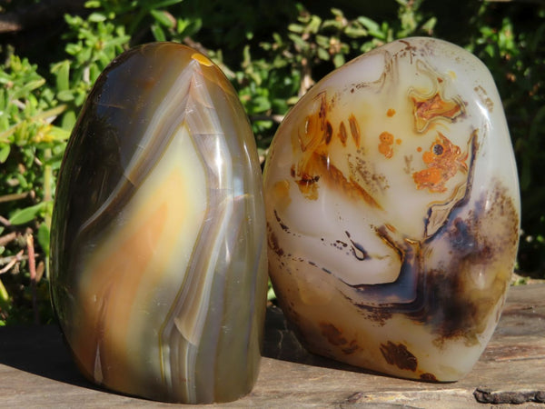 Polished Banded Dendritic Agate Standing Free Forms x 4 From Madagascar - TopRock