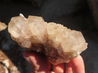Natural Cascading Smokey Quartz Clusters x 6 From Luena, Congo - Toprock Gemstones and Minerals 