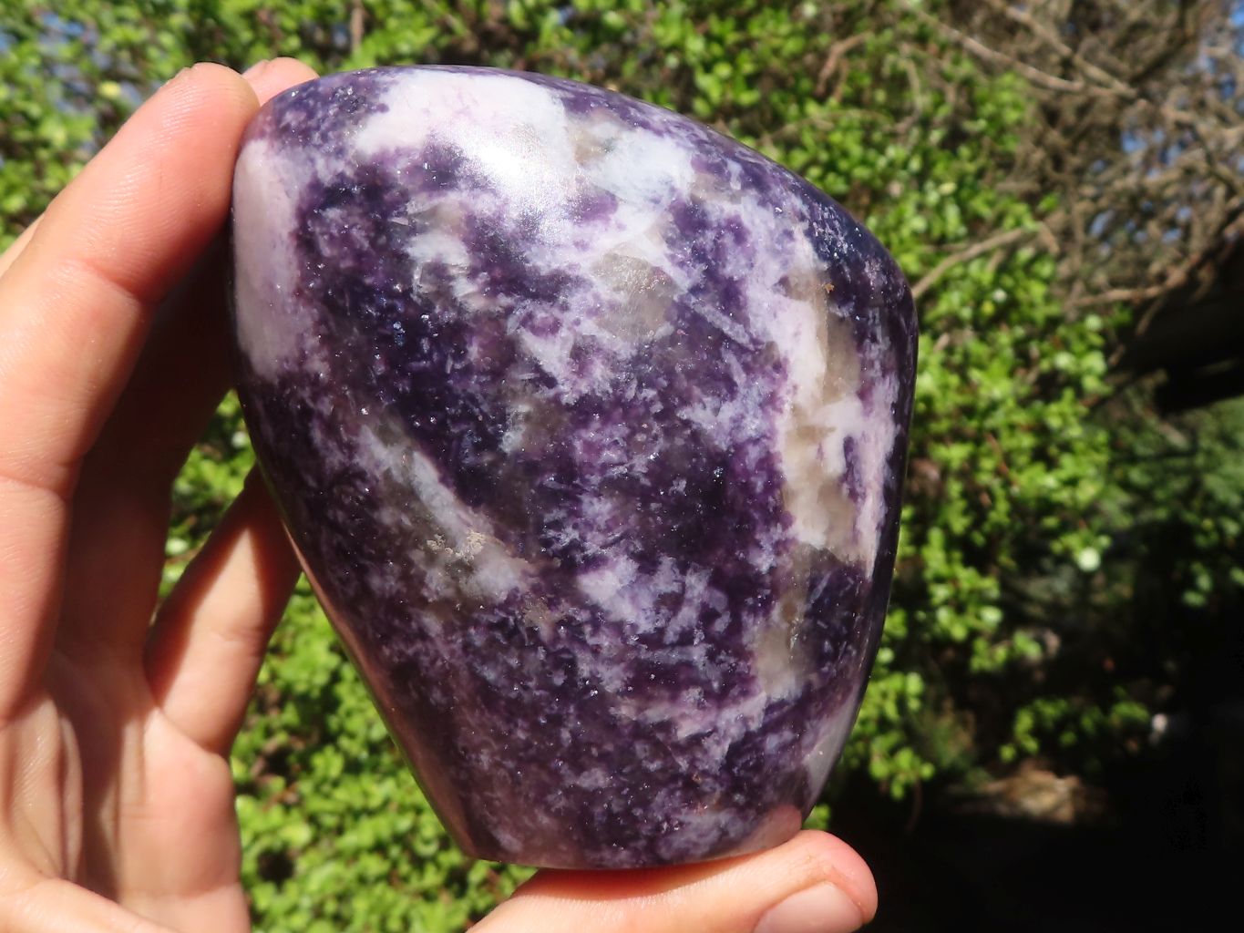 Polished Deep Purple Lepidolite Standing Free Forms  x 2 From Zimbabwe - Toprock Gemstones and Minerals 