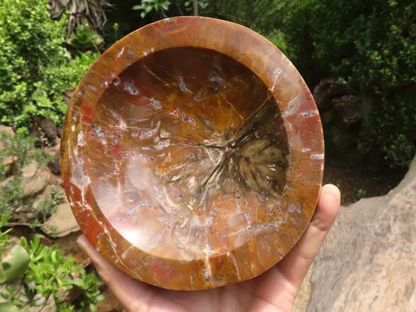 Polished Petrified Red Podocarpus Wood Bowl  x 1 From Mahajanga, Madagascar - TopRock