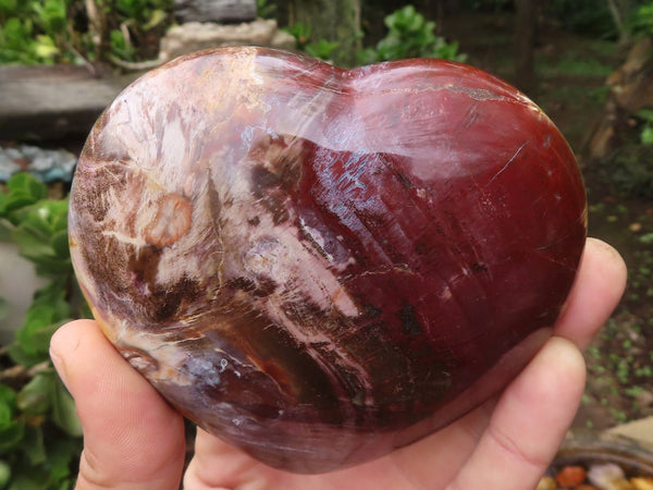 Polished Petrified Red Podocarpus Wood Hearts  x 2 From Madagascar - Toprock Gemstones and Minerals 