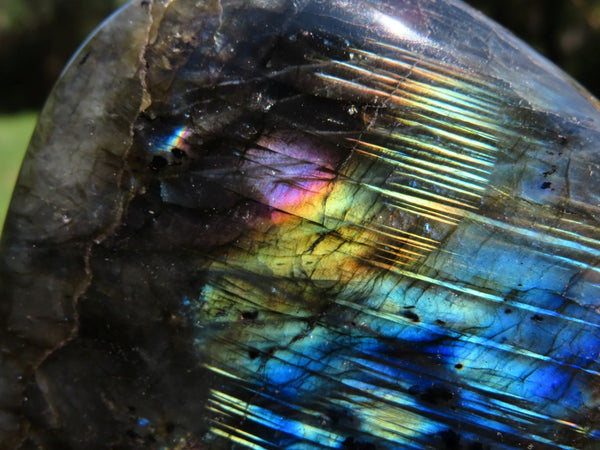 Polished Labradorite Standing Free Form x 1 From Tulear, Madagascar - TopRock