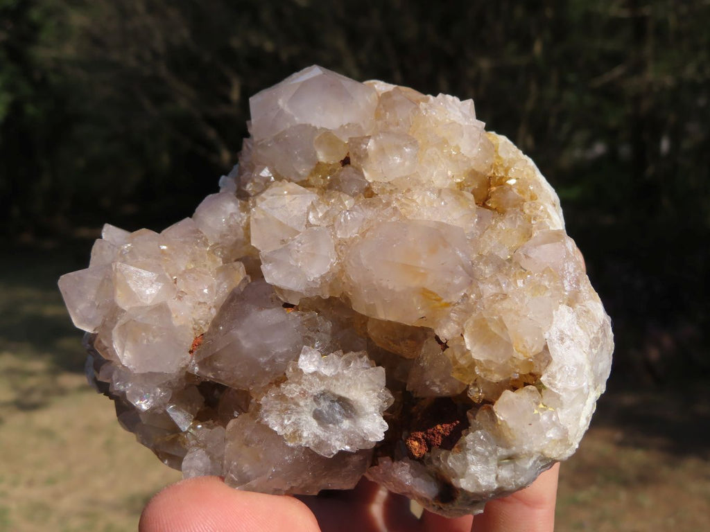 Natural Spirit Cactus Quartz Clusters With Limonite Colouring x 3 From Boekenhouthoek, South Africa - TopRock